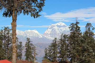 दृश्यावलोकनको अभिमानमा मोहोरे डाँडा